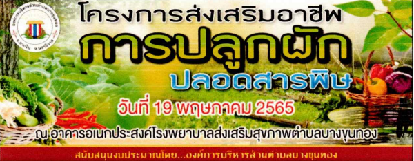 โครงการส่งเสริมอาชีพการปลูกผักปลอดสารพิษ ปี 2565